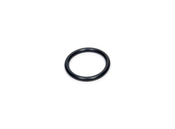 EPDM-Ring 25.4 mm Lupine