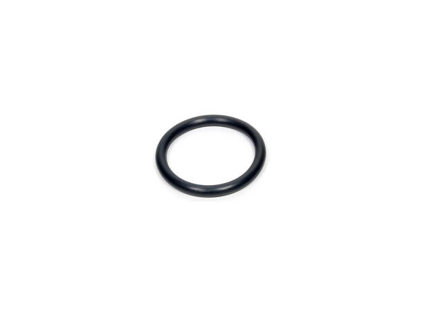 Lupine EPDM-Ring 25.4 mm